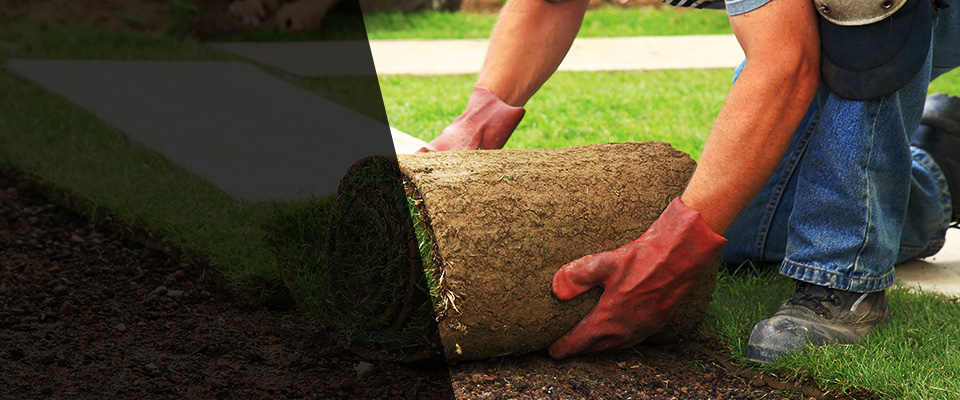 Post Landscapers